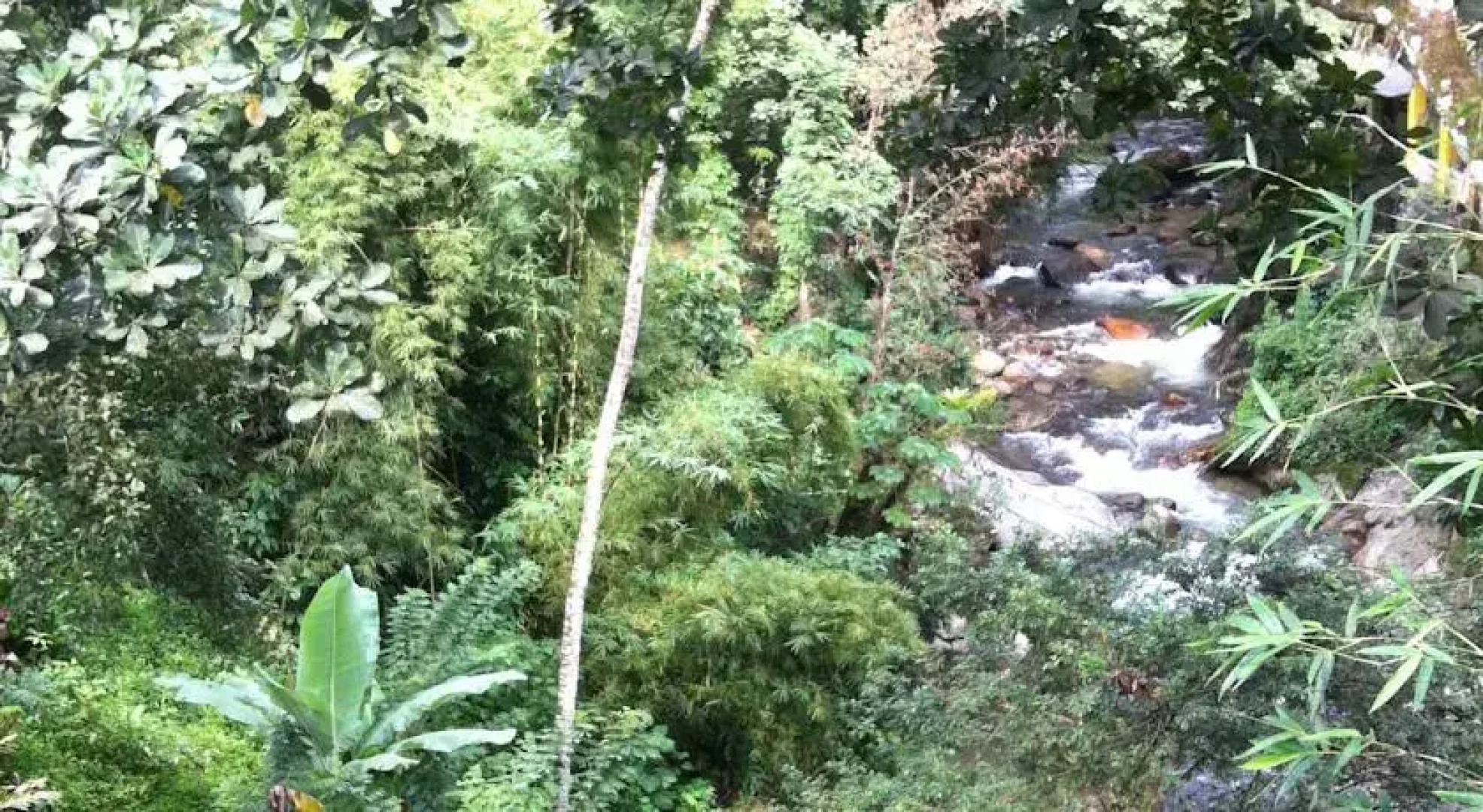 Emerald Green Guest House