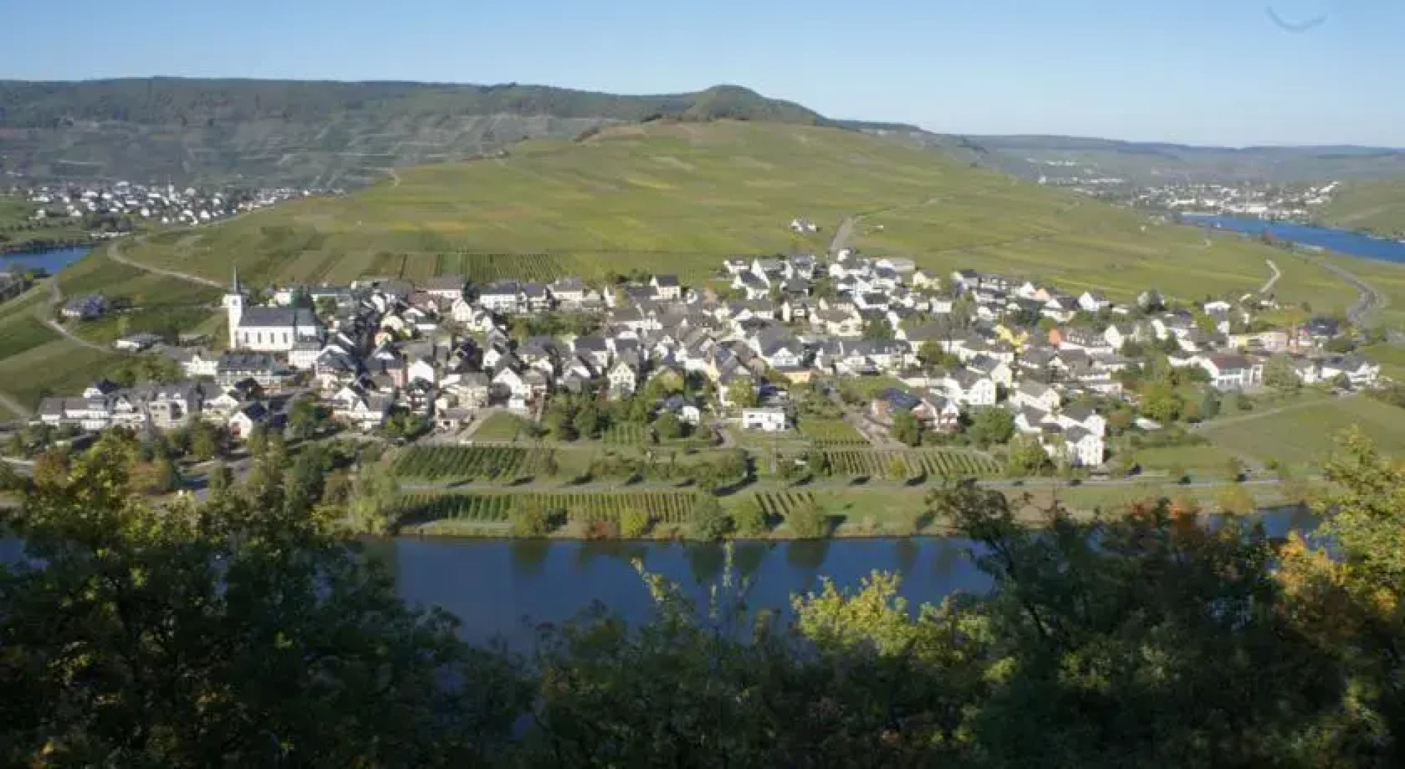 Homestay Öko-Weingut Roman Herzog