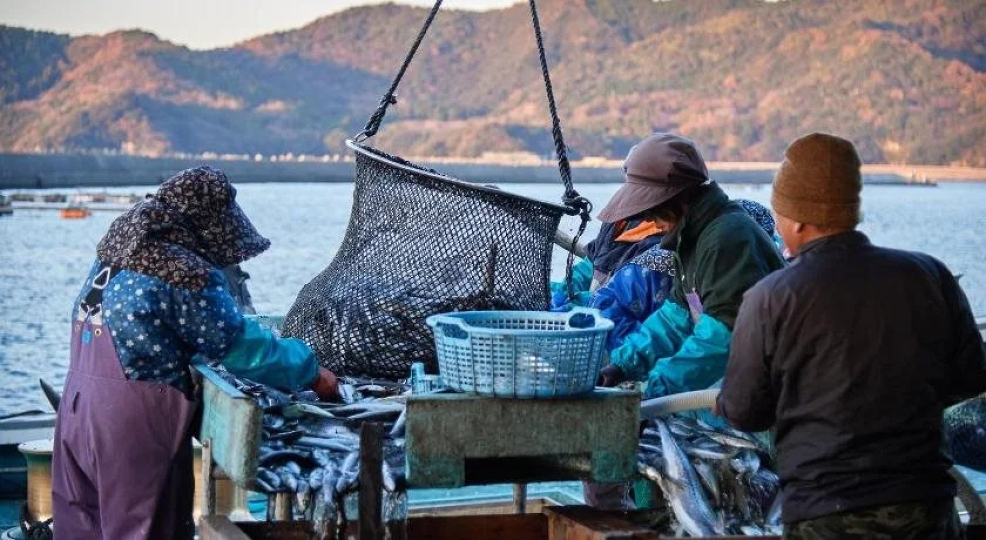 Sazareishi Takashima