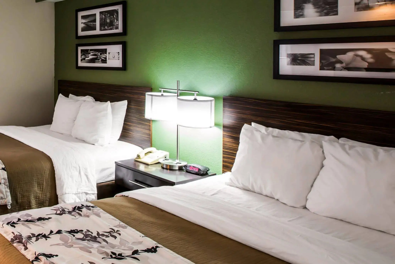 Sleep Inn & Suites Kingsport TriCities Airport