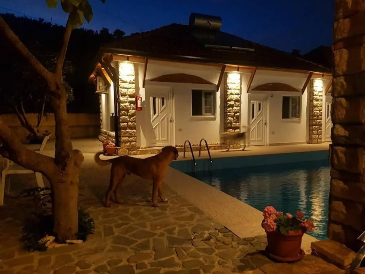 Guesthouse Lord Byron