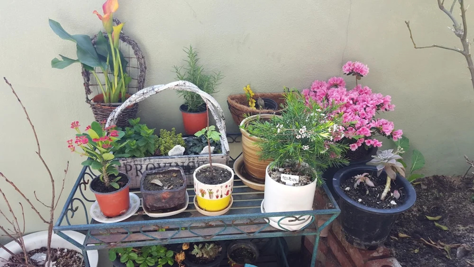 Wellbeing Guesthouse