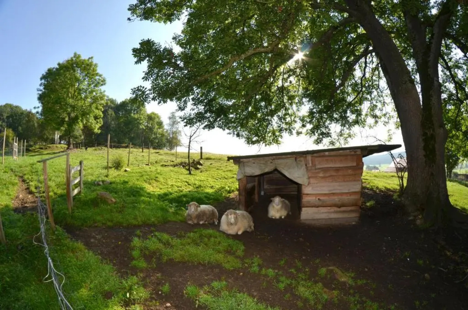 Penzion Pod pralesem