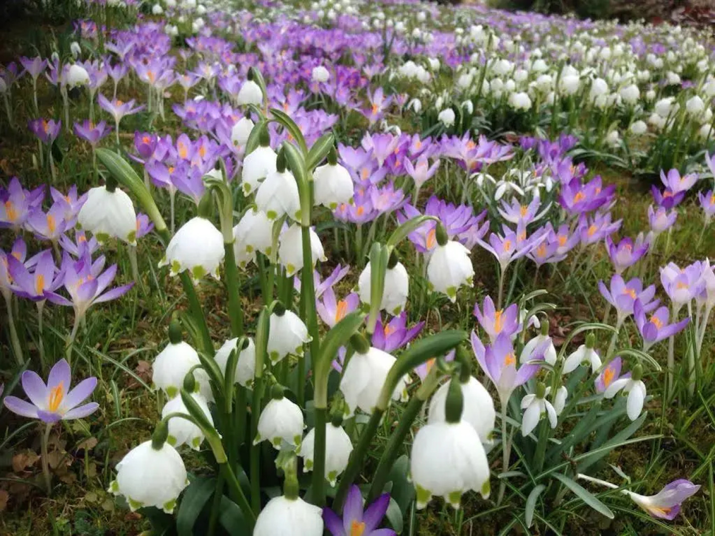 Wohlfühlhotel Sonnengarten