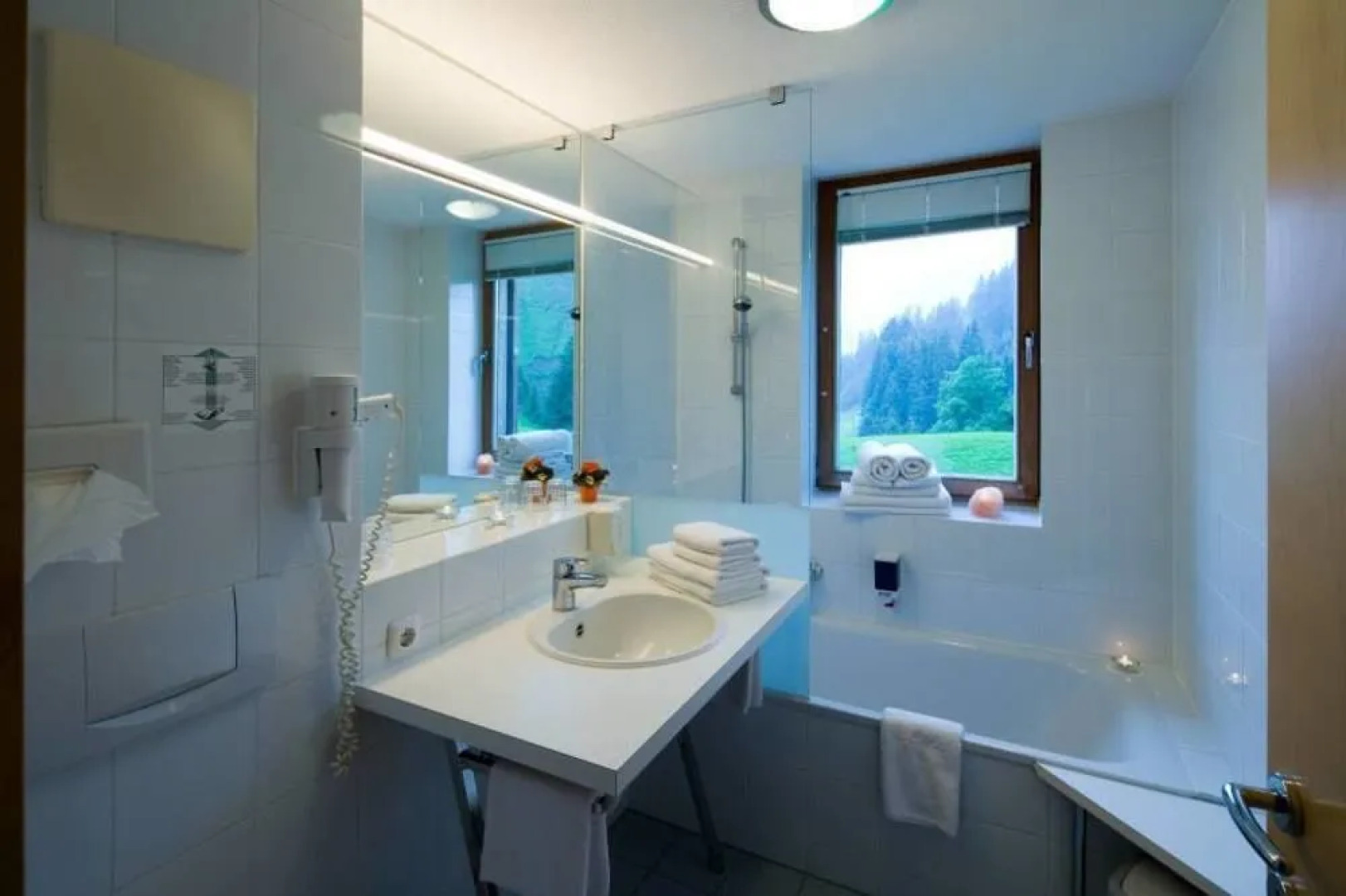 Alpenerlebnishotel Widderstein