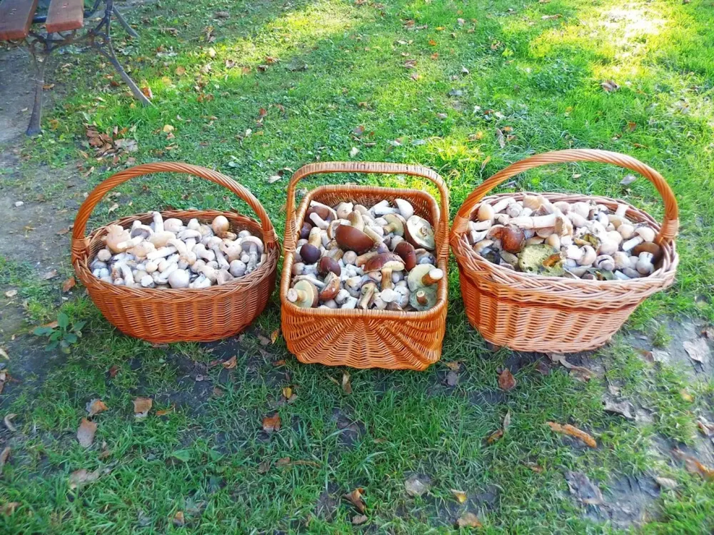 Mazurski Raj - Luksusowa Turystyka