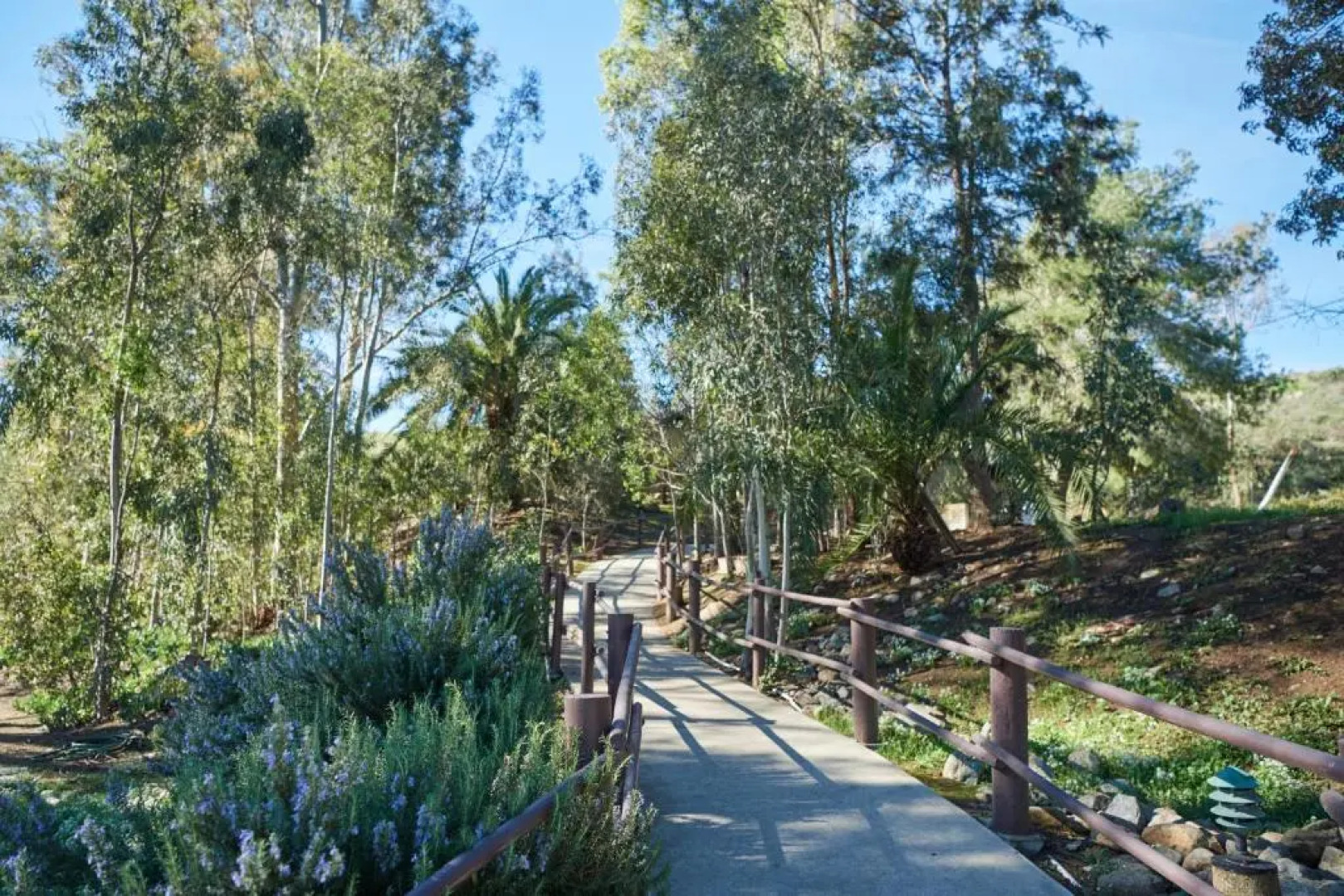 Pio Pico Camping Resort One-Bedroom Cabin 14