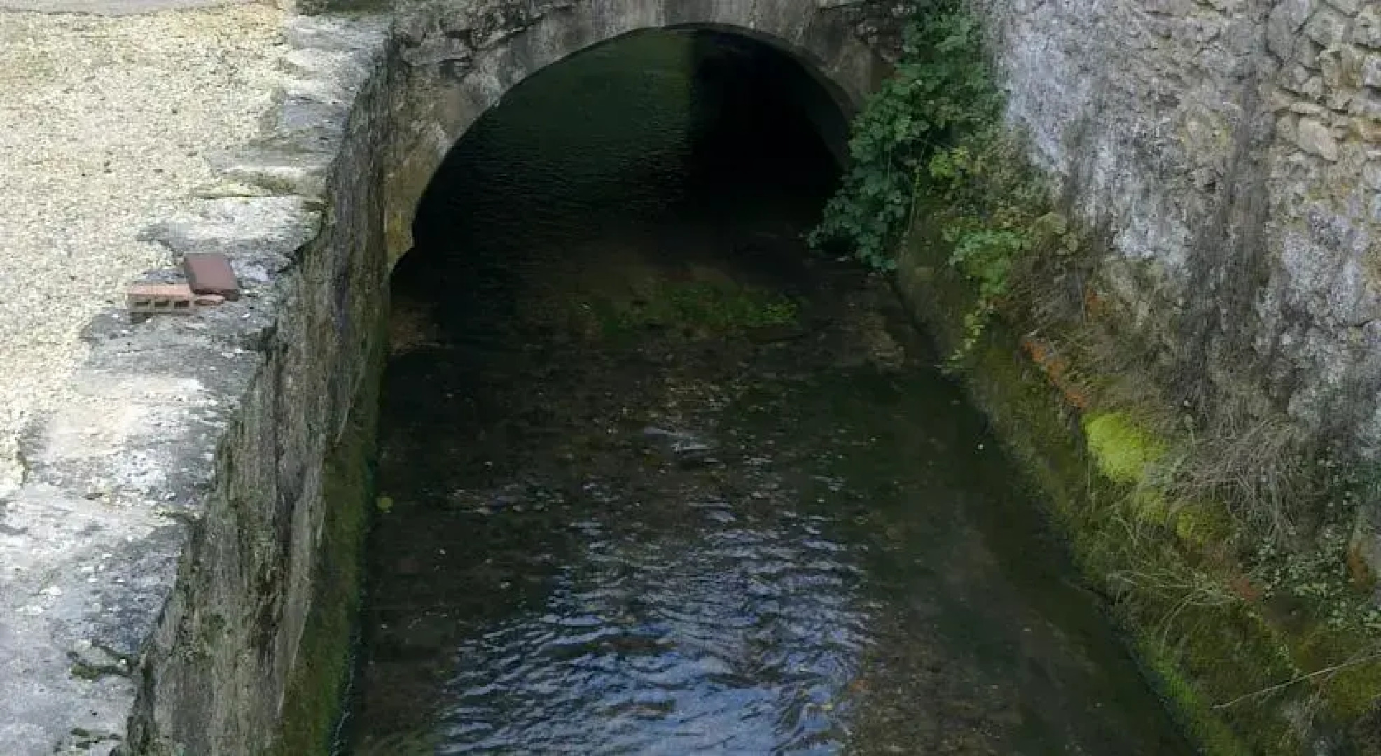 Moulin de la Garrigue