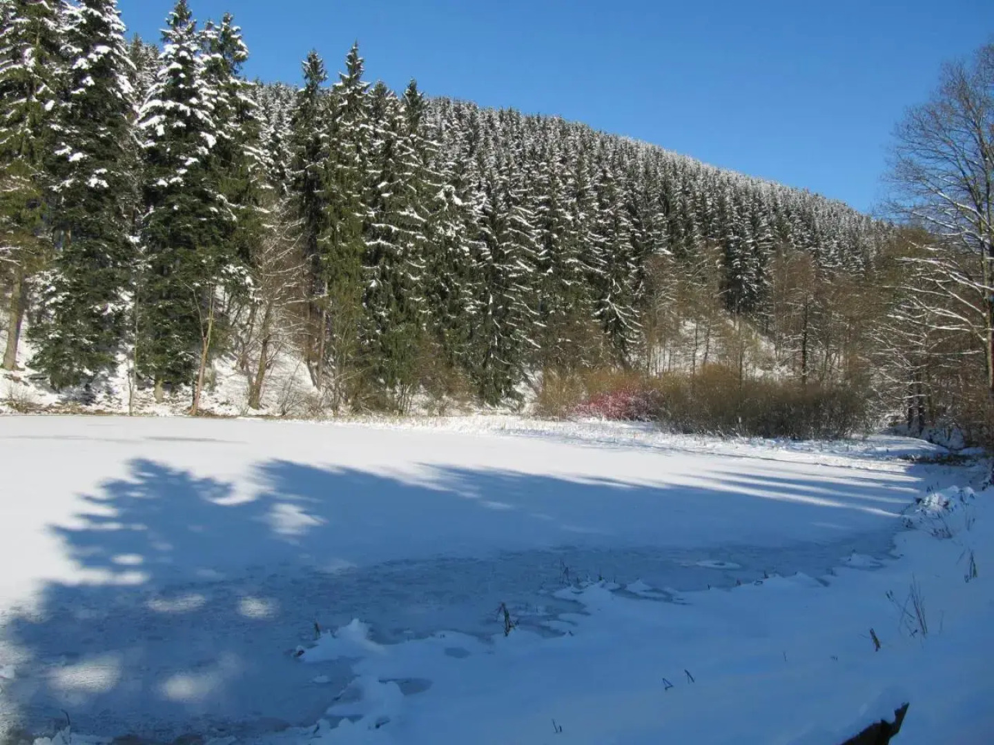 Hexenstieg House Lerbach