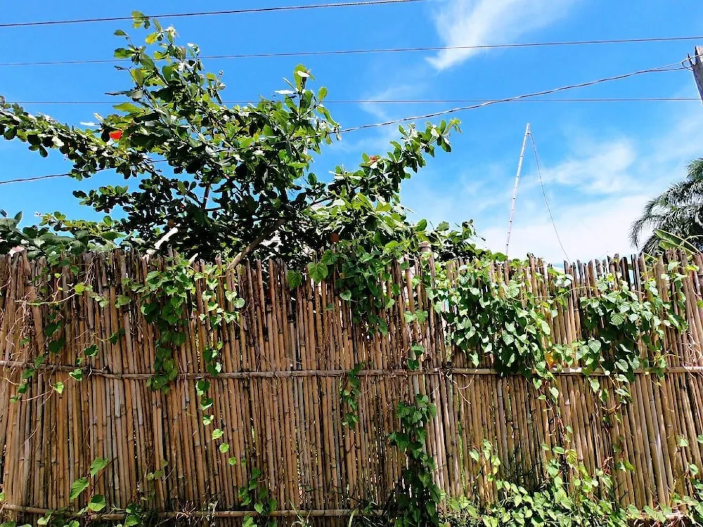 Woodside Rogers Residence