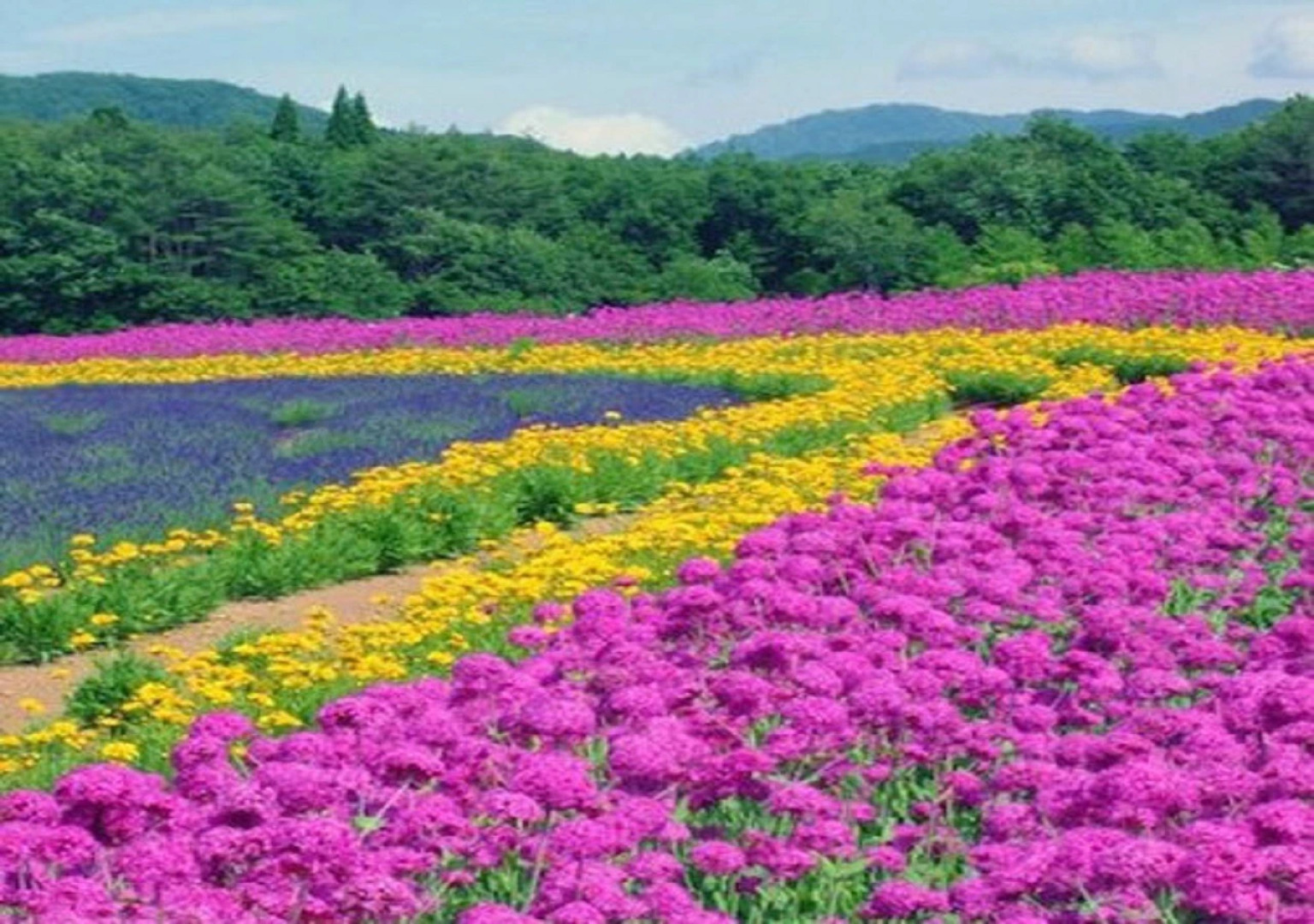 Gujo Vacances Village Hotel / Vacation STAY 35712