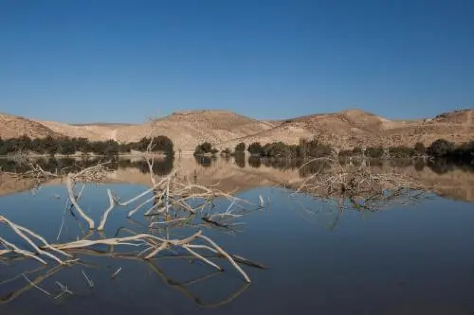 The White Hill Guesthouse