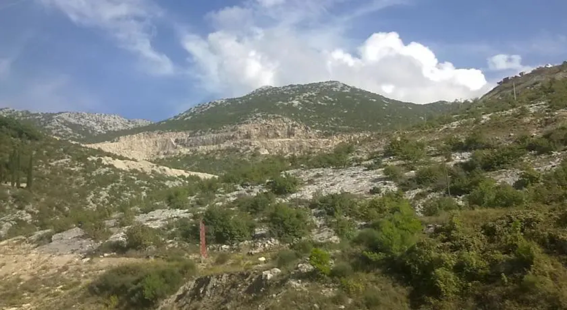 Appartment Mohnblume