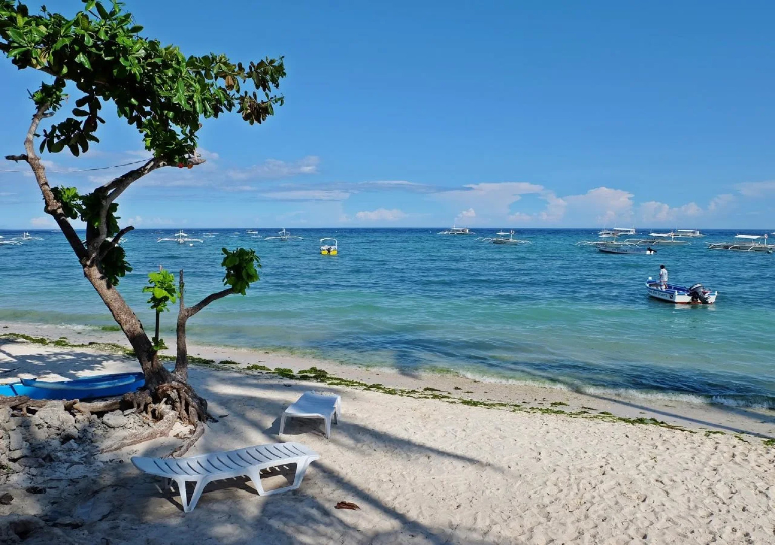 Lost Horizon Beach Dive Resort