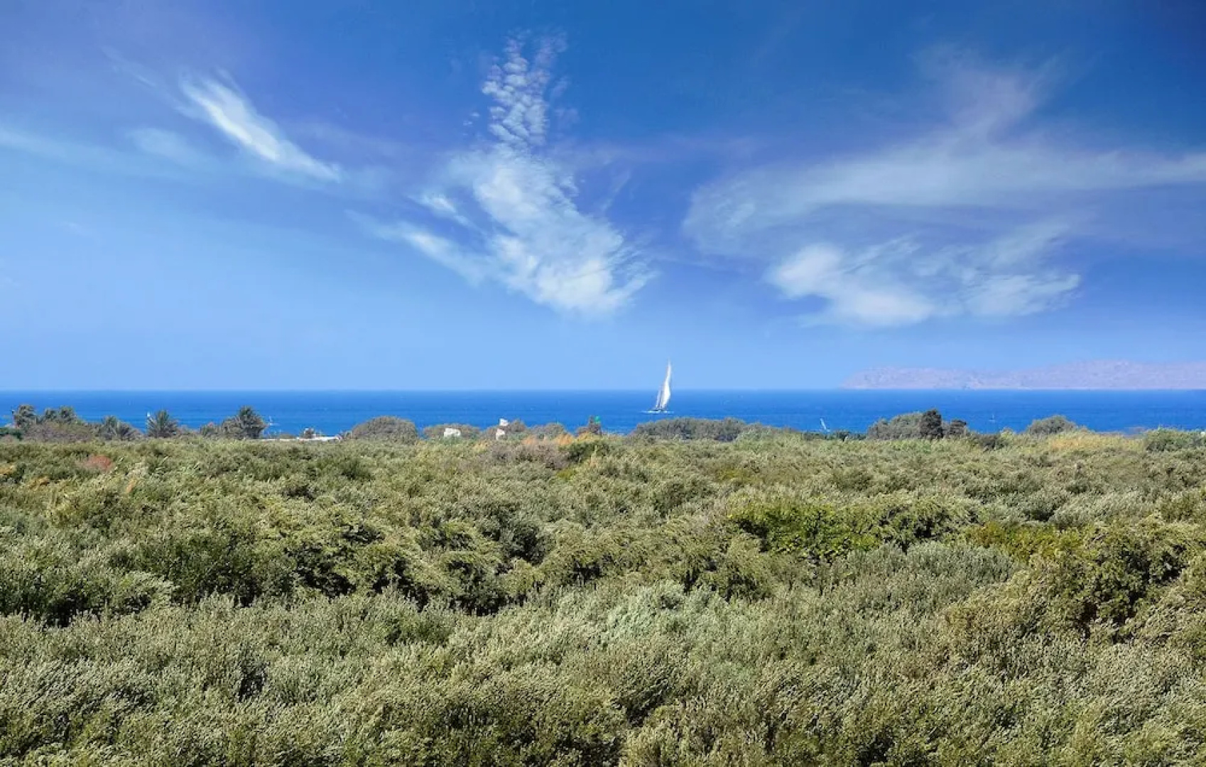 Sitia, GreeceOlive Coast Suites