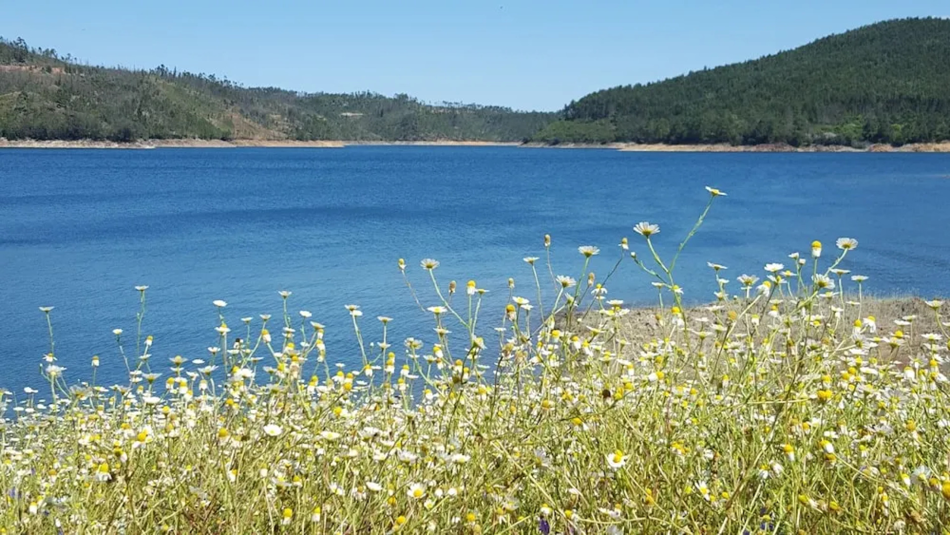 Aguas Belas b& be T1 Blue