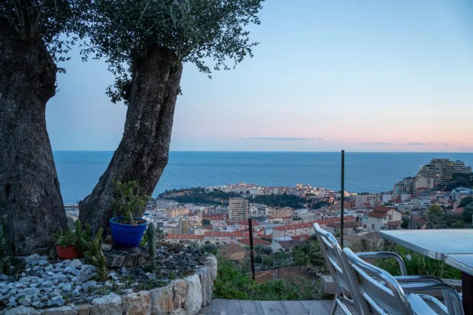 Le petit jardin exotique