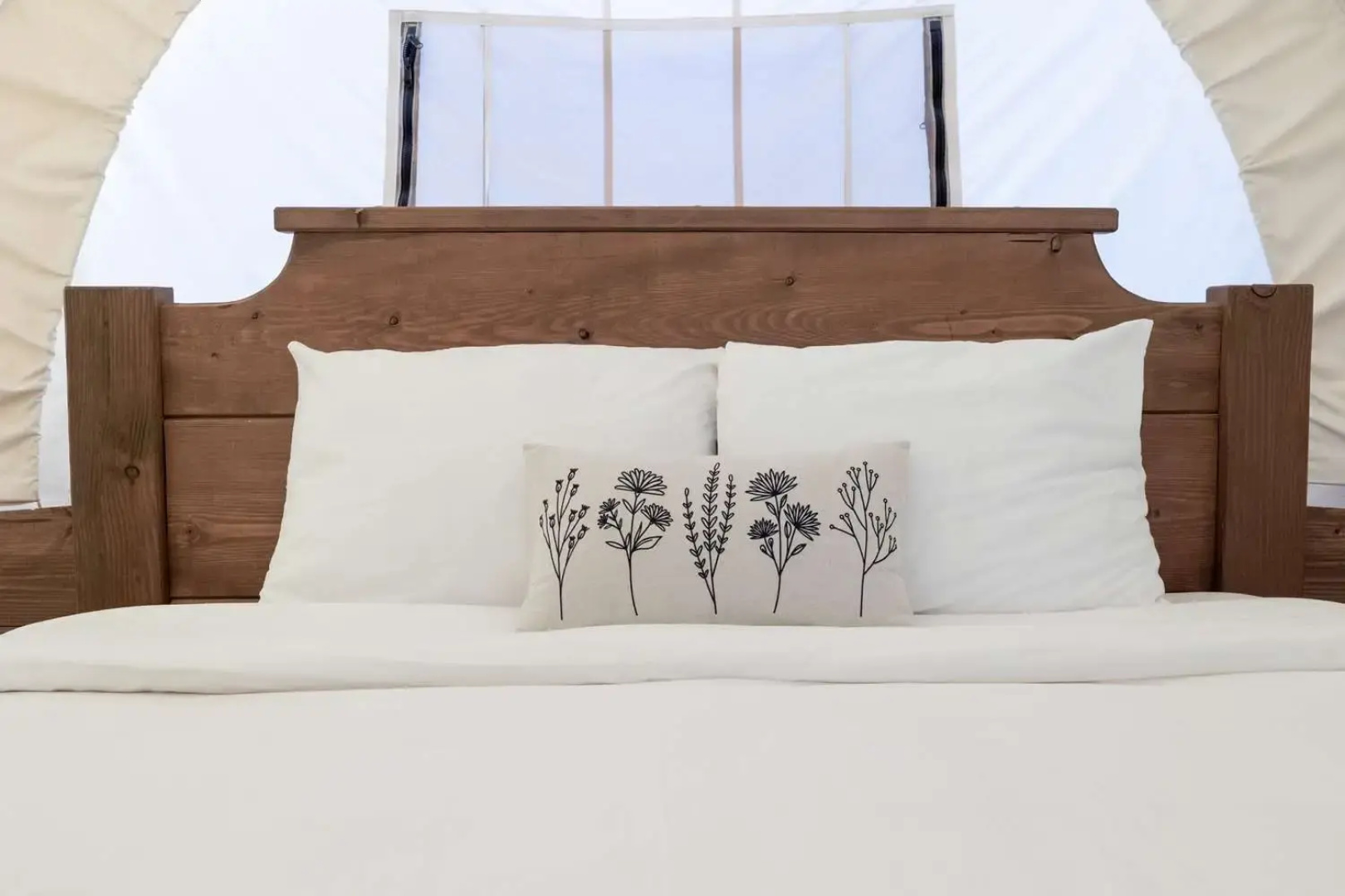 Zion Wildflower, BW Premier Collection