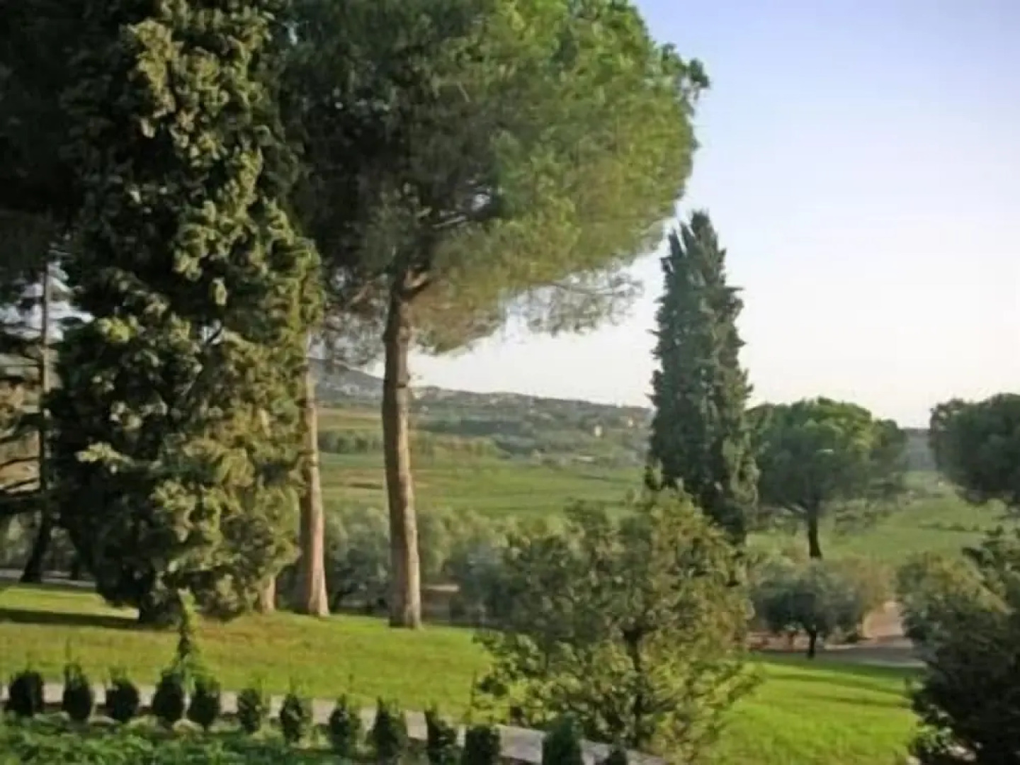 Tenuta di Pietra Porzia