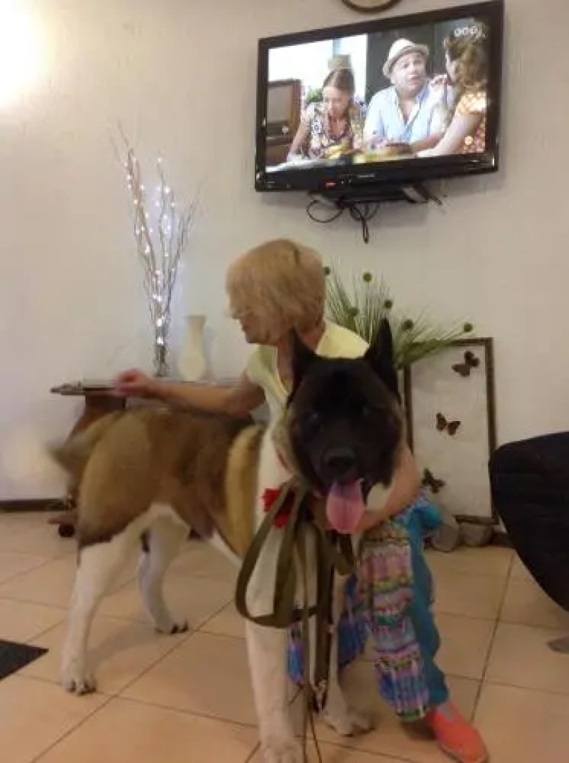 Гостиница на Руднева