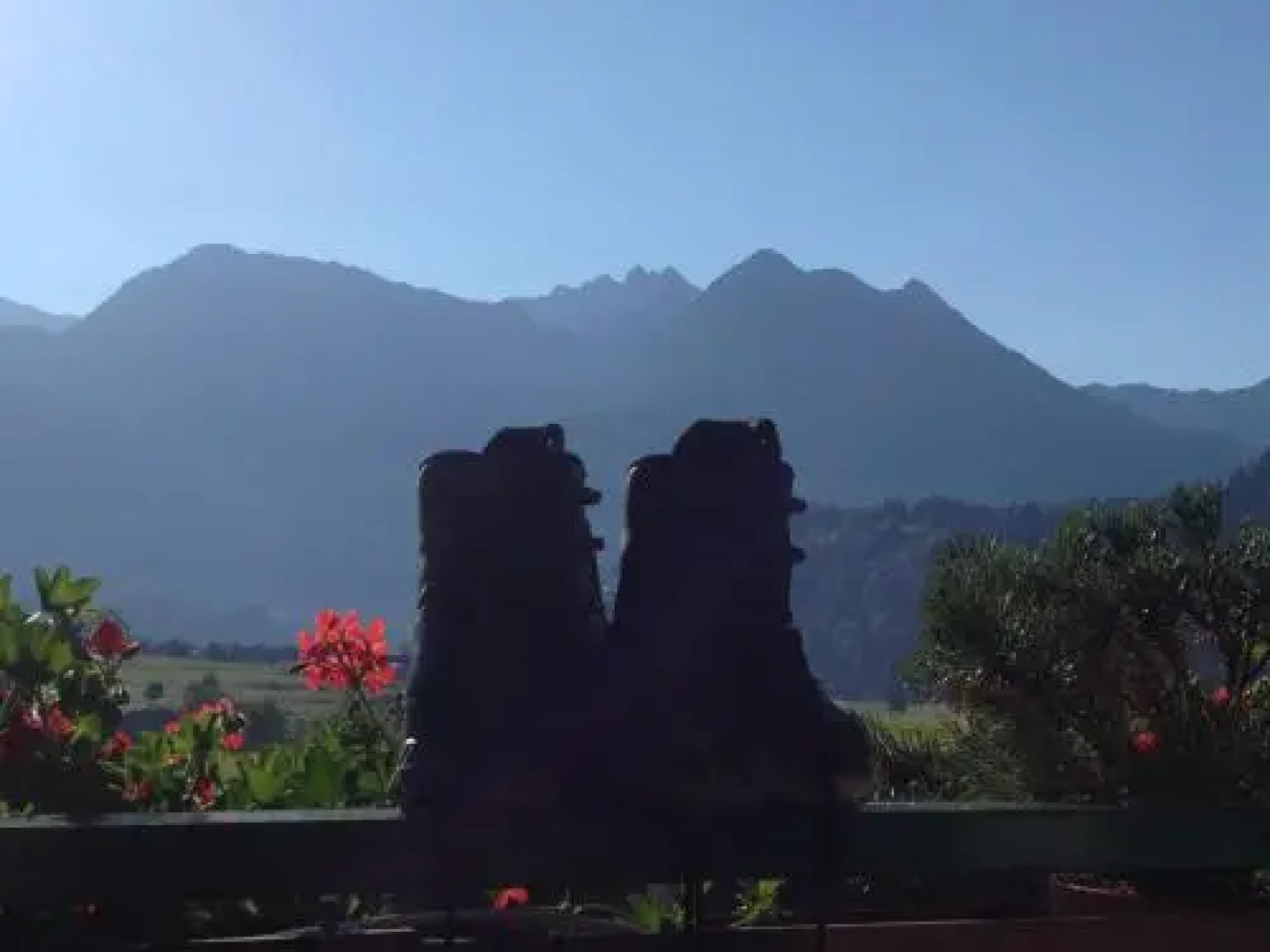 Auszeit Ferienwohnungen