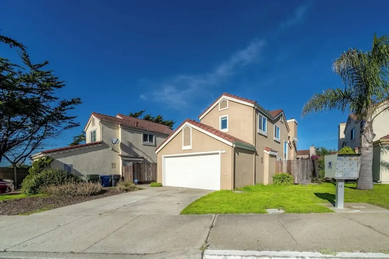 Succulents & Seashells Coastal Paradise by Beach