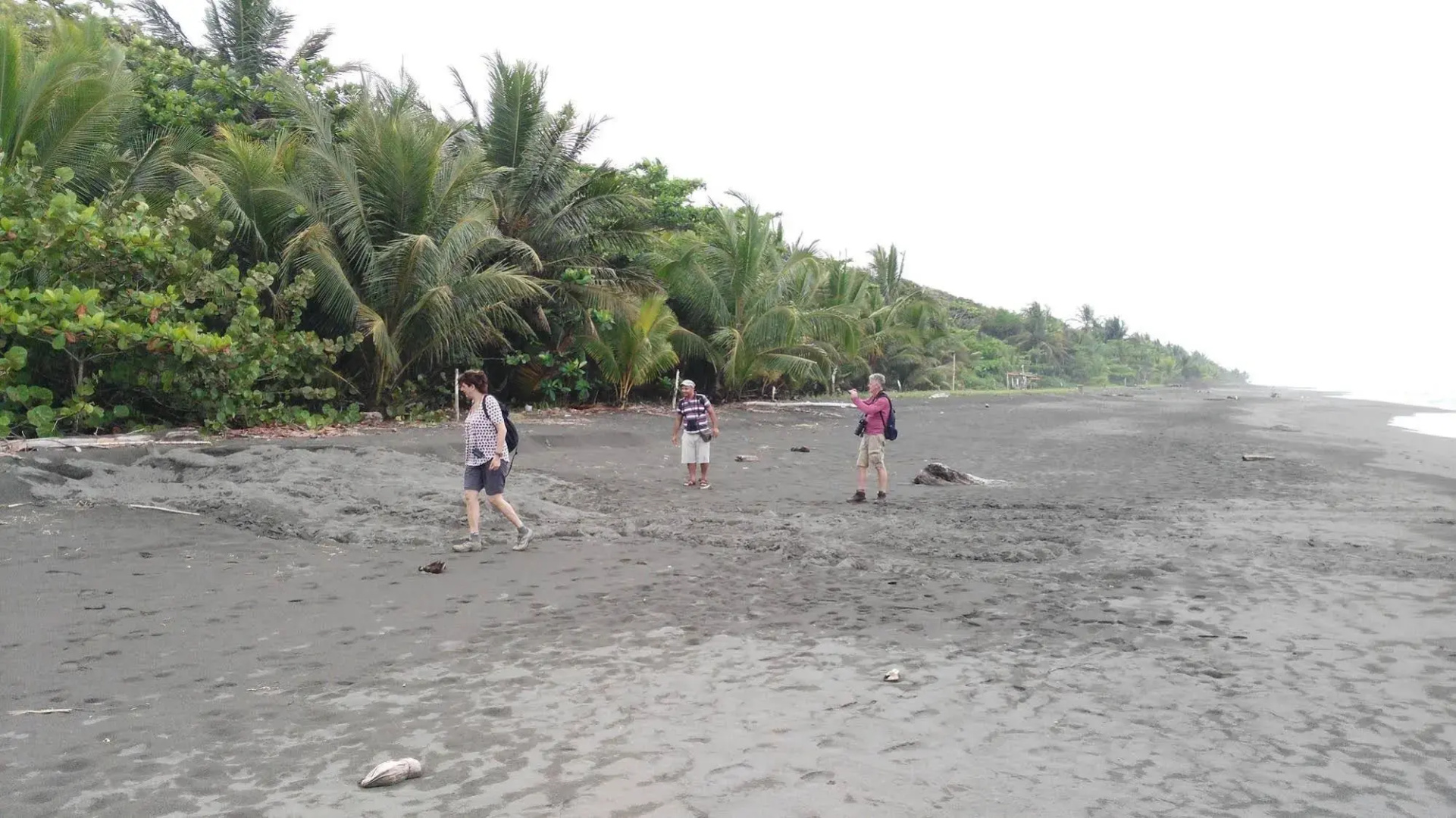 Lirio Lodge