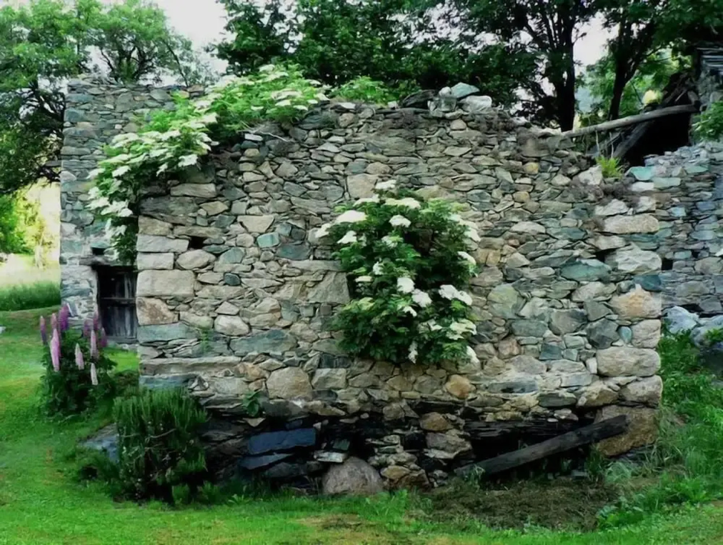 La Majón dé Fohtèn