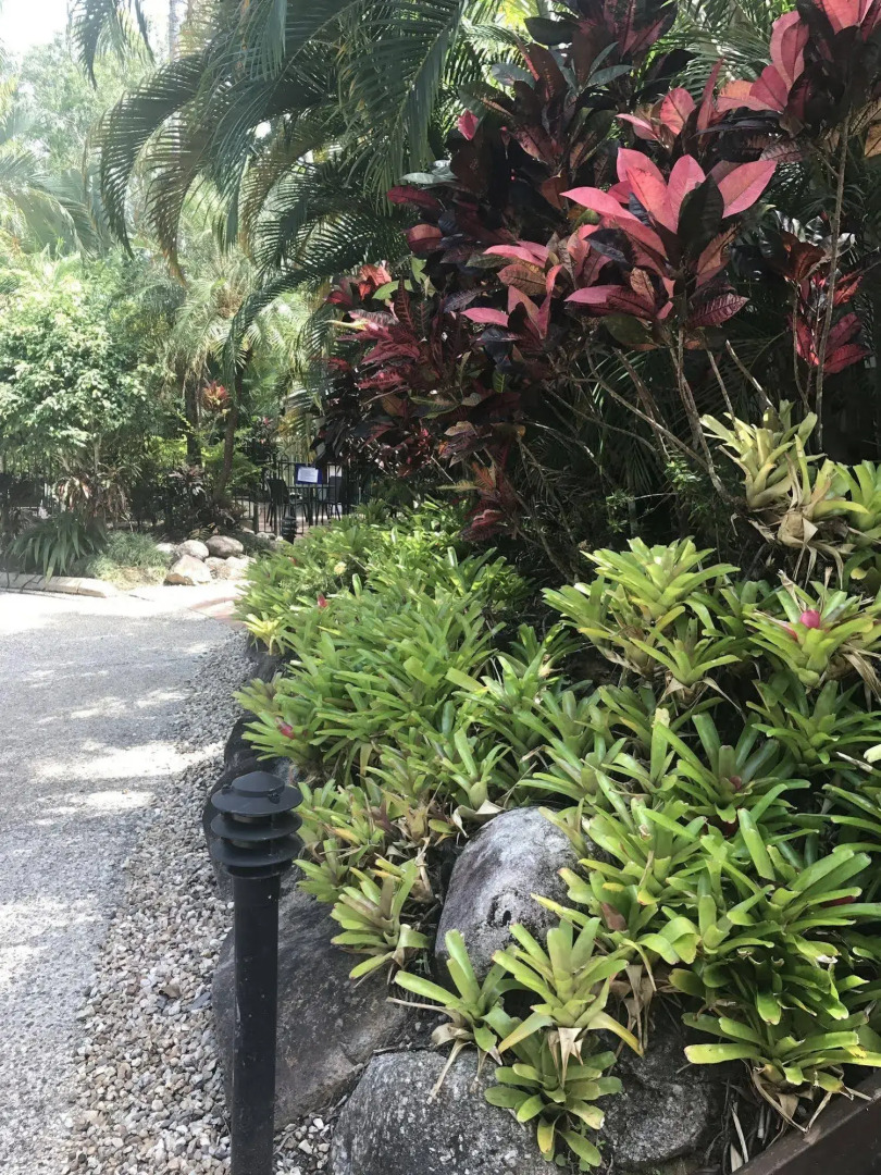 Port Douglas Palm Villas