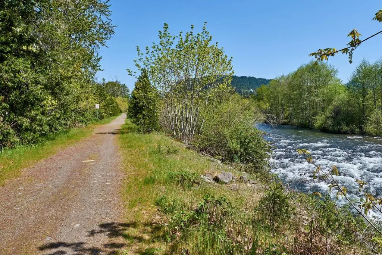 Arbor Inn Motel Oakridge