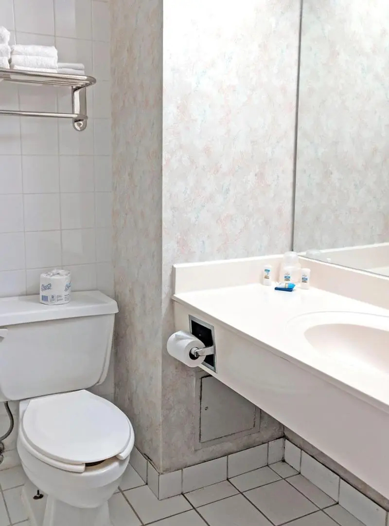 Chestnut Residence - Campus Accommodation