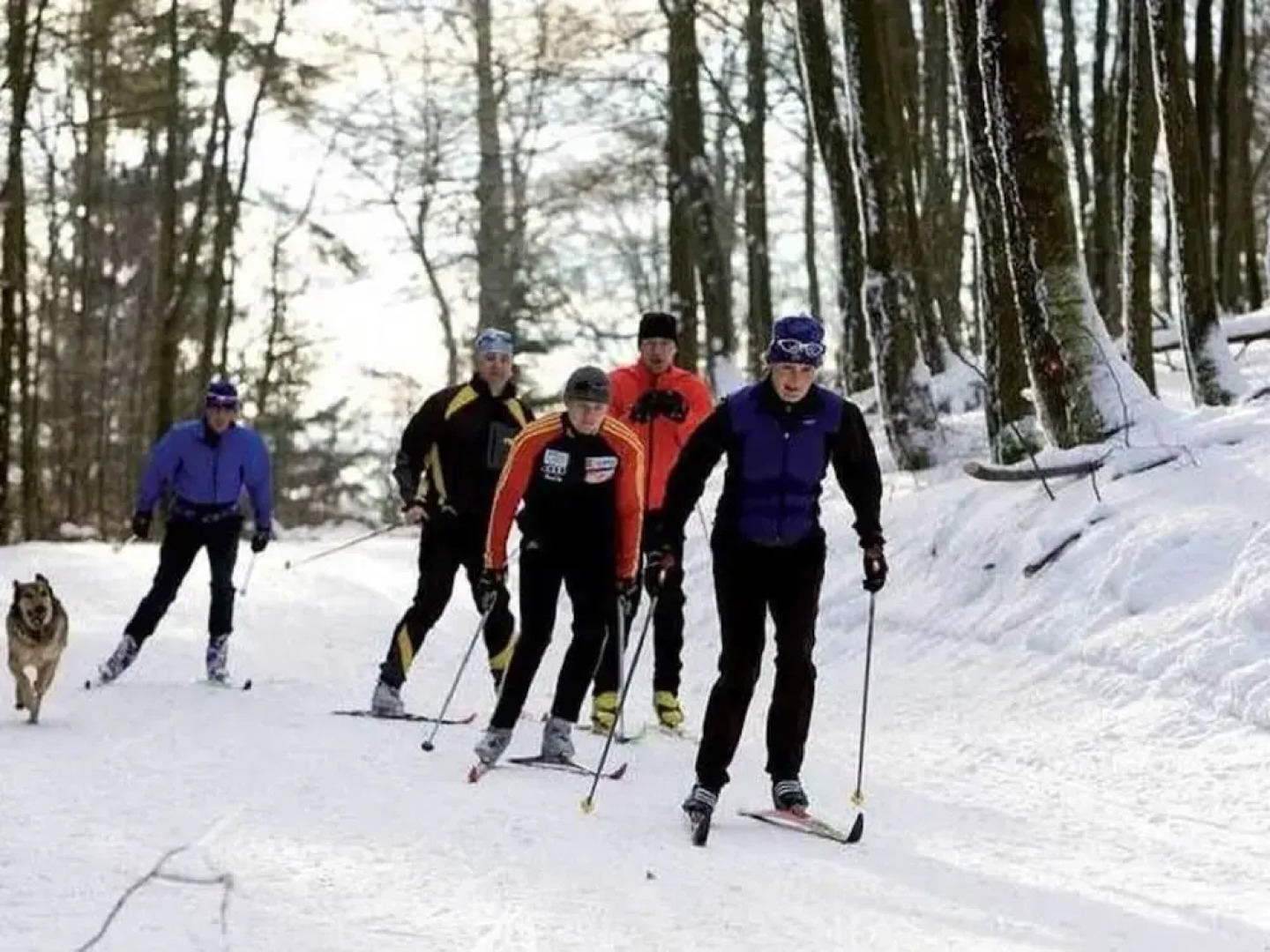 Apartment in the Hochsauerland Region in a Quiet Location