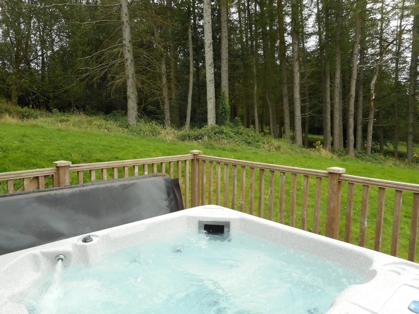 Lord Galloway 32 (H 2016) 82334