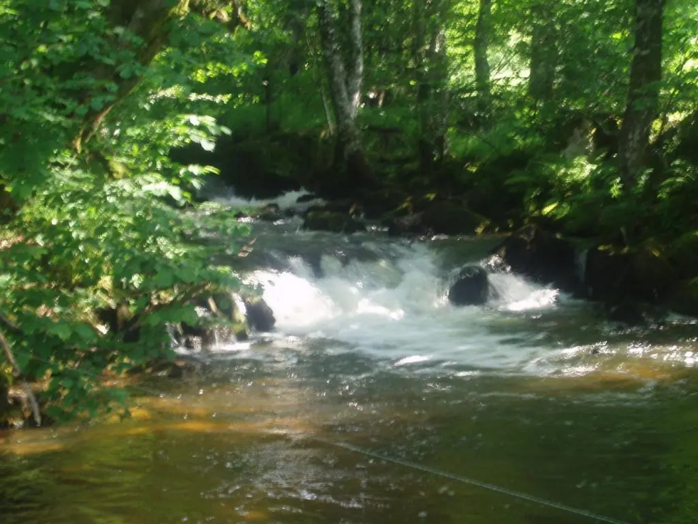 Hotel Les Coudercous