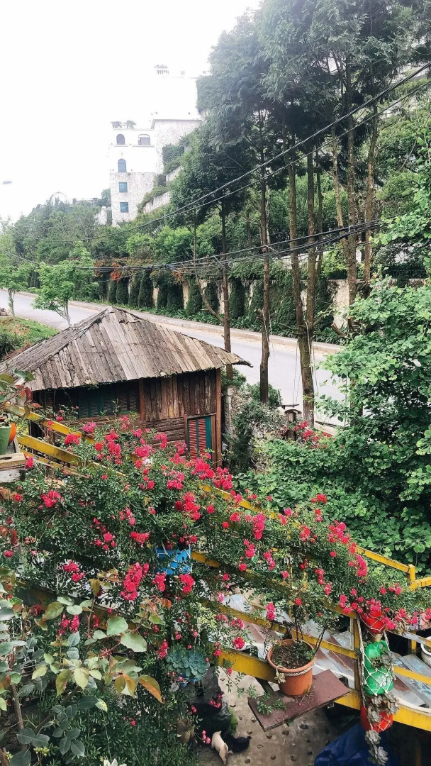 Saigonese Trekking House - Hostel