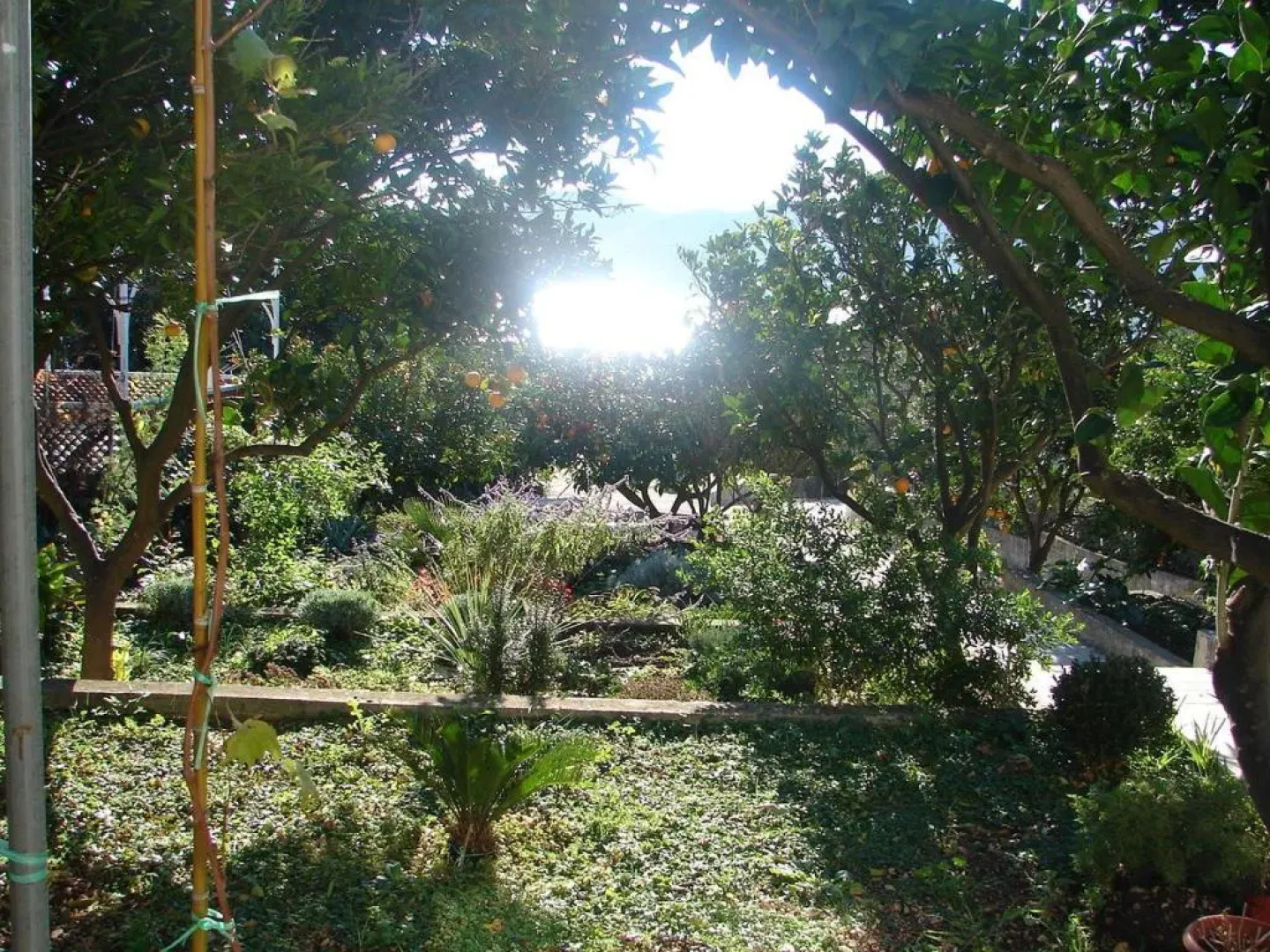 Apartments Sugor-70m from sea