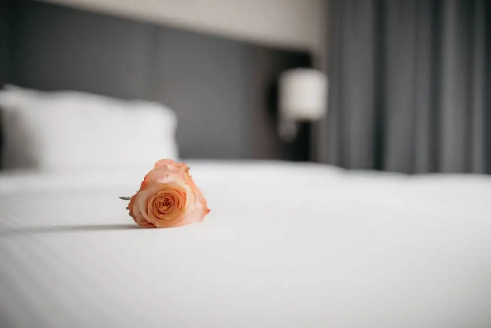 IIP Apartments - Self Check In