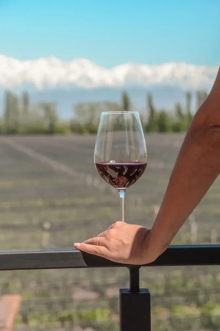 Agrelo Vines Lodge
