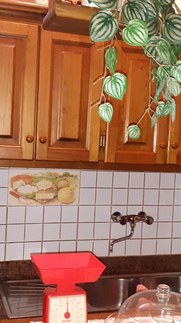 Apartment Lido di Camaiore