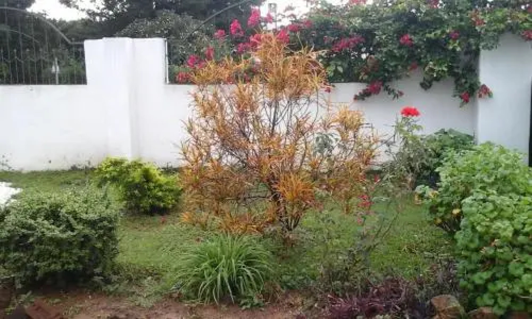 La Residence Executive Guest House