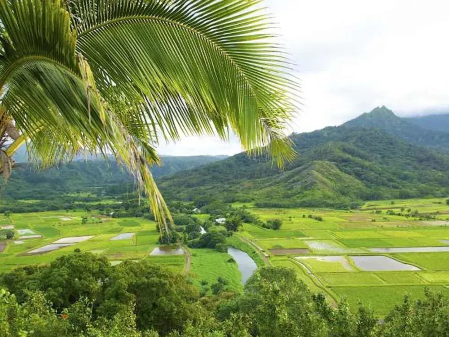 Waipouli Beach Resort G205