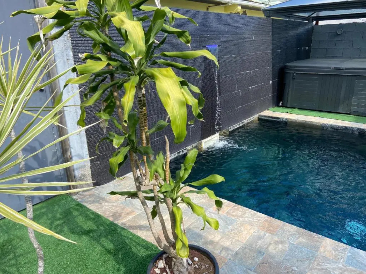 L'améthyste - Bungalow de charme