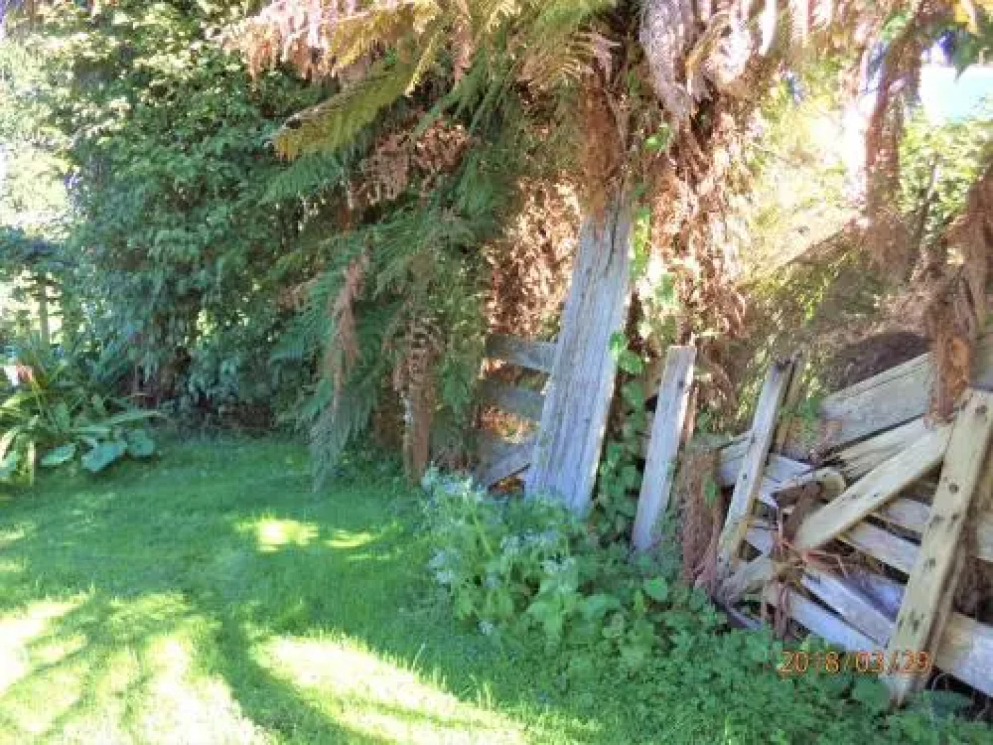 Earthsounds Country Cottage