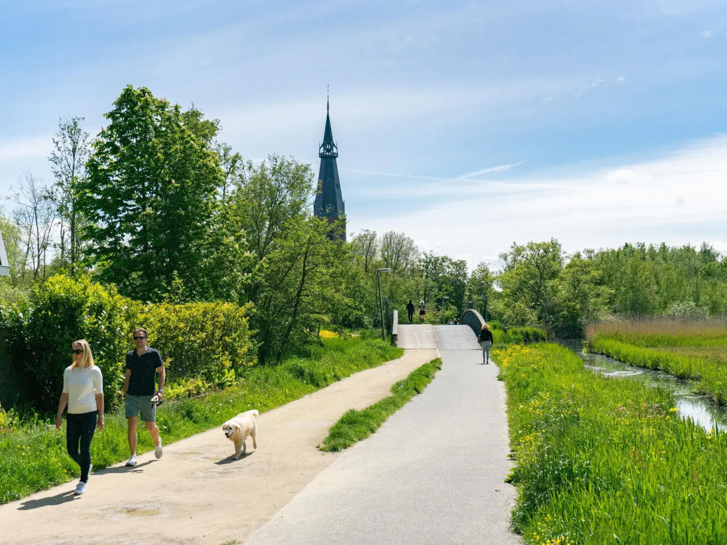 Colorful Chalet Near Amsterdam