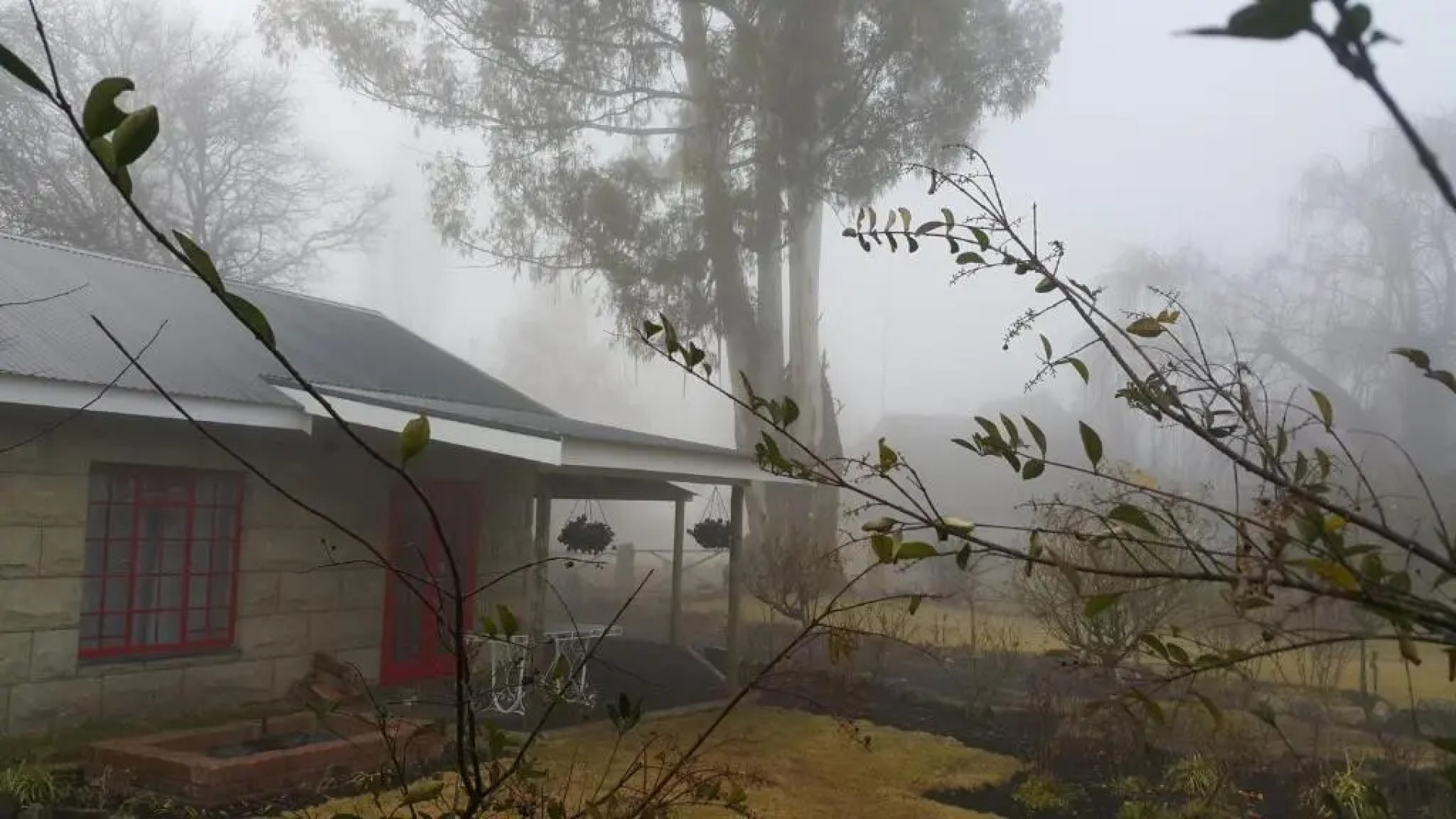 Periwinkle Grove Cottage