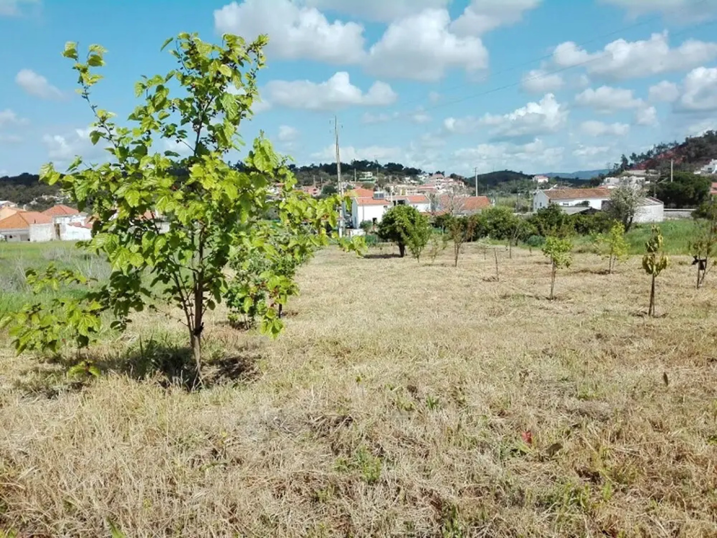 House With 3 Bedrooms in São Bartolomeu de Messines, With Wonderful Mountain View, Enclosed Garden and Wifi Near the Beach