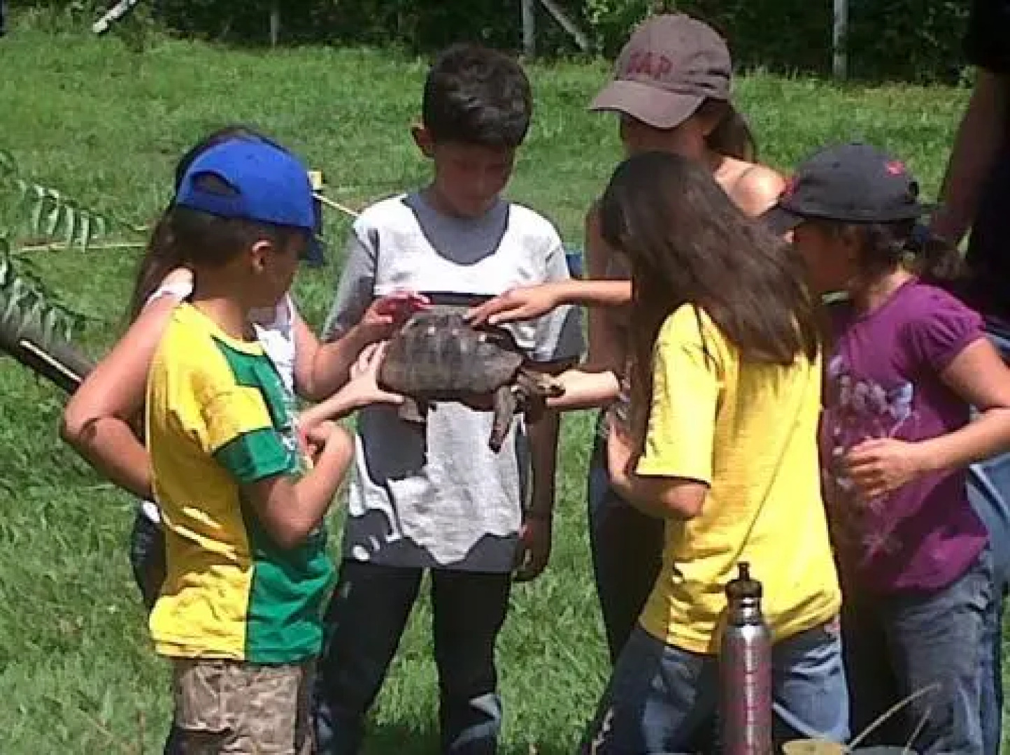 Hacienda Las Margaritas