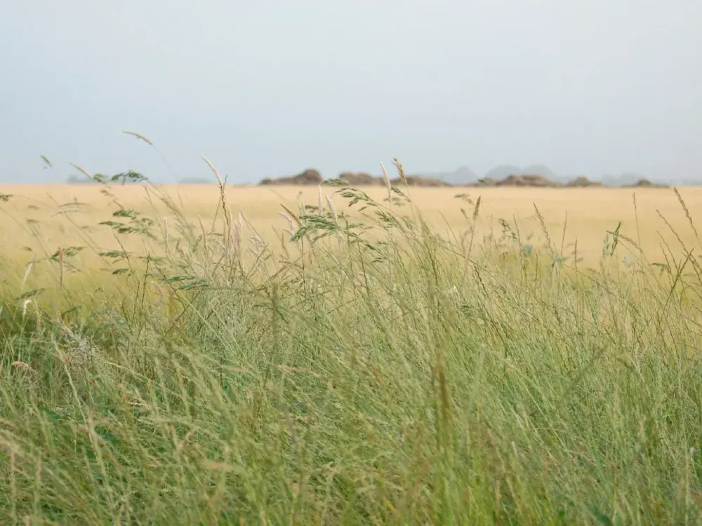 Roompot Kustpark Texel