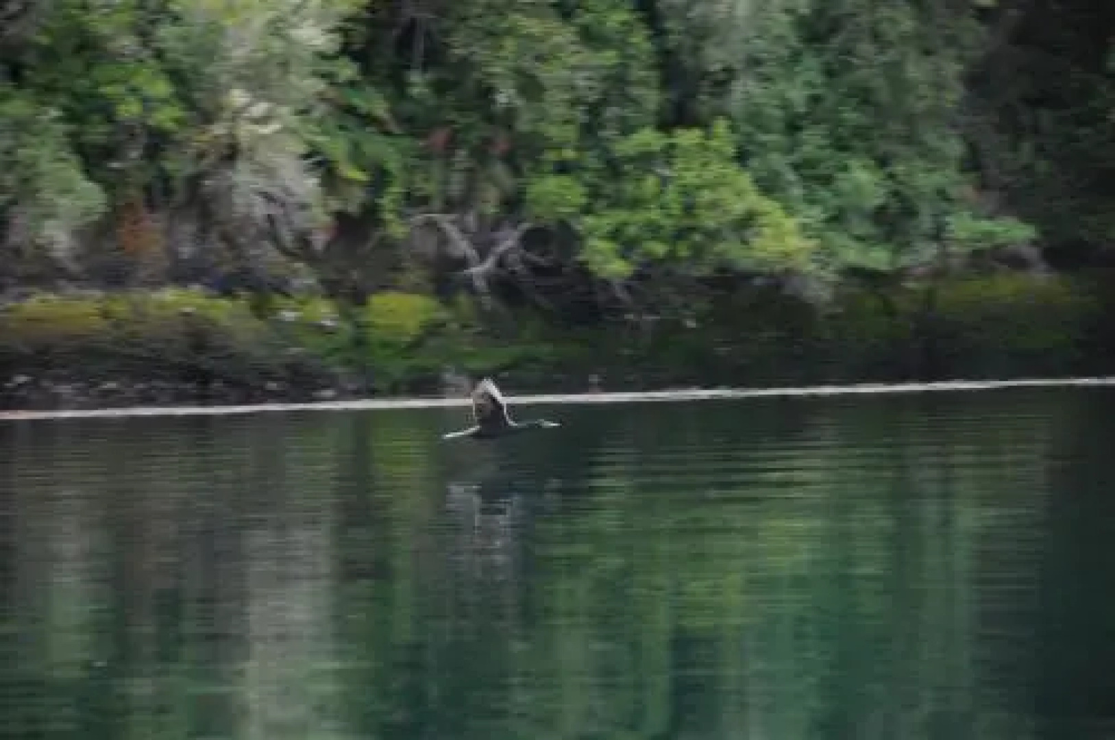 Ecoturismo San Miguel