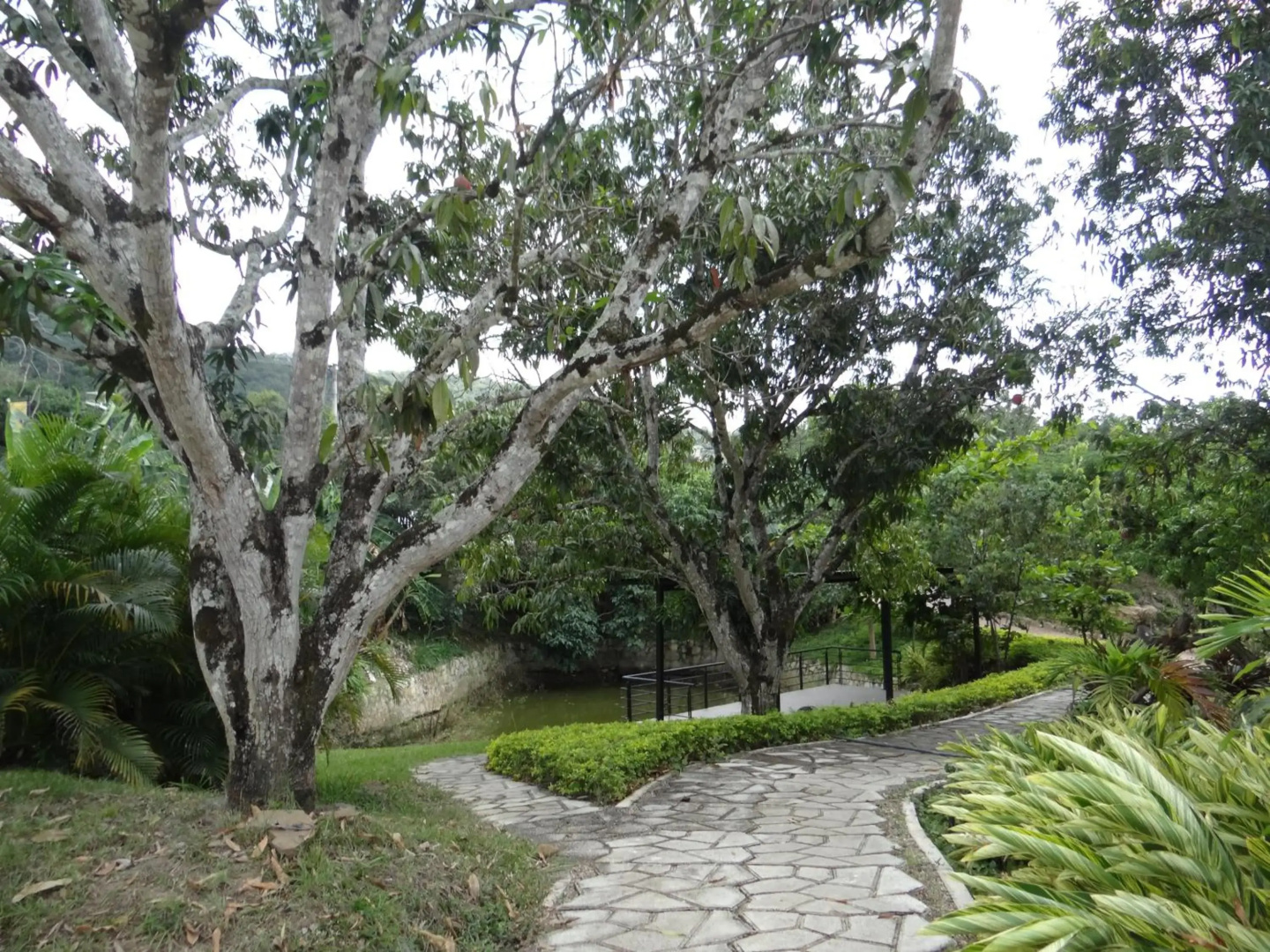 Welcome Home 15 casa campestre Anapoima